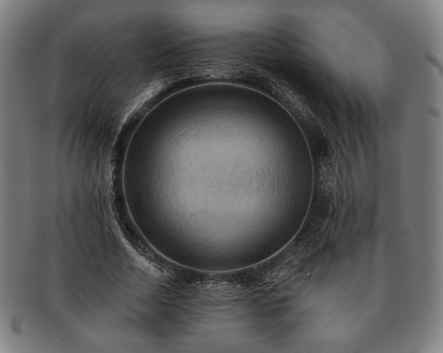 X0000091460730200708231316