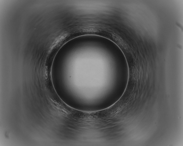 X0000091460731200708231316