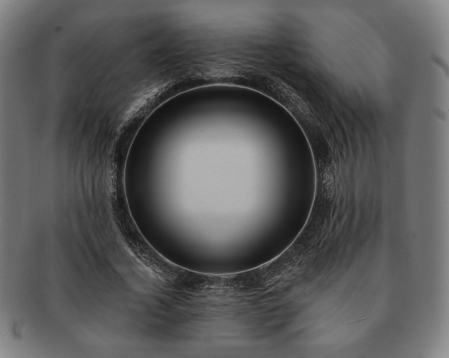 X0000091460732200708231316
