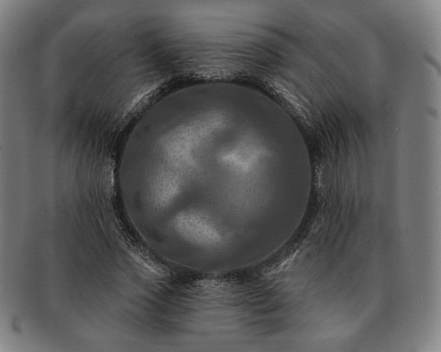 X0000091460733200708231316