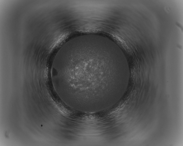 X0000091460735200708231316