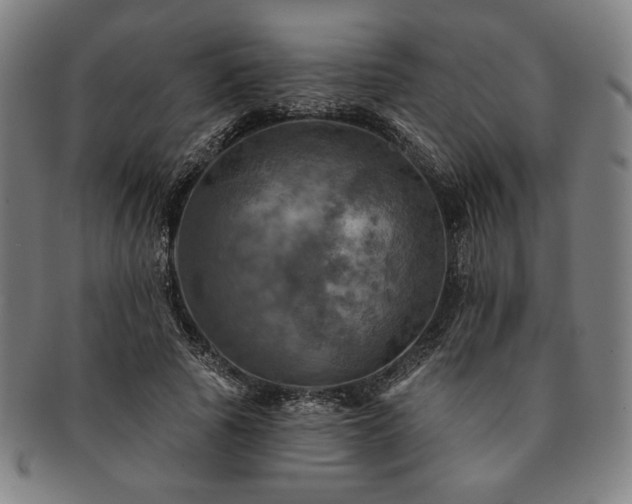 X0000091460737200708231316