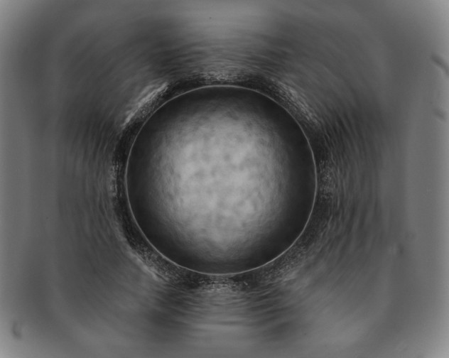 X0000091460738200708231316