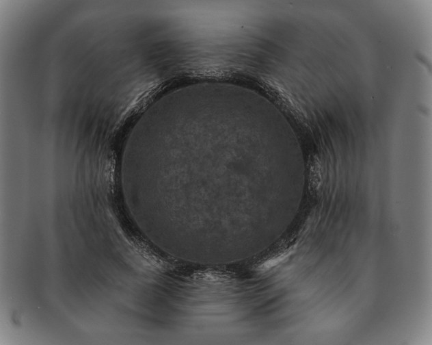 X0000091460739200708231316