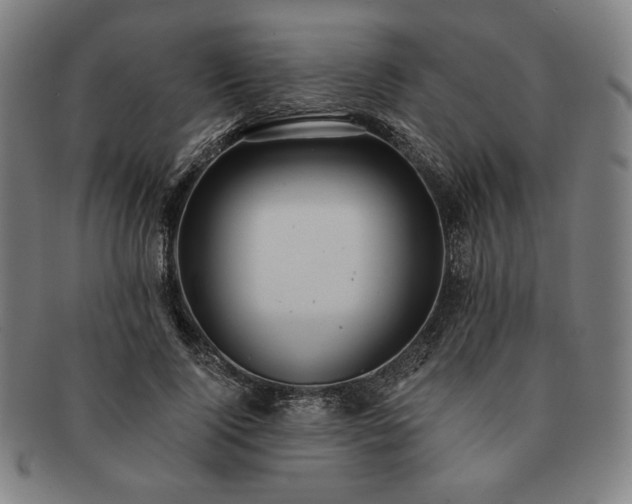 X0000091460740200708231316
