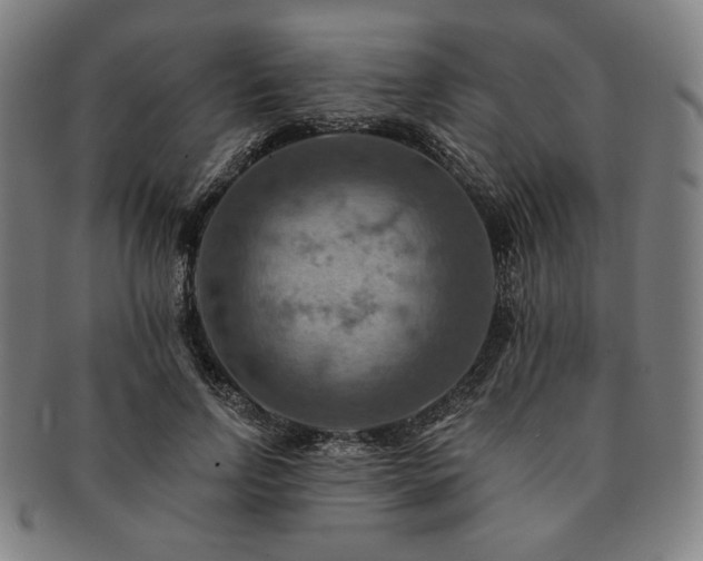 X0000091460742200708231316