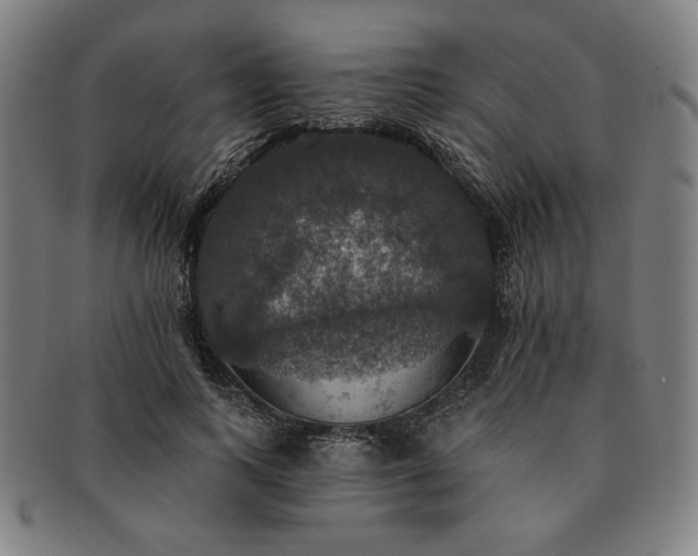 X0000091460743200708231316