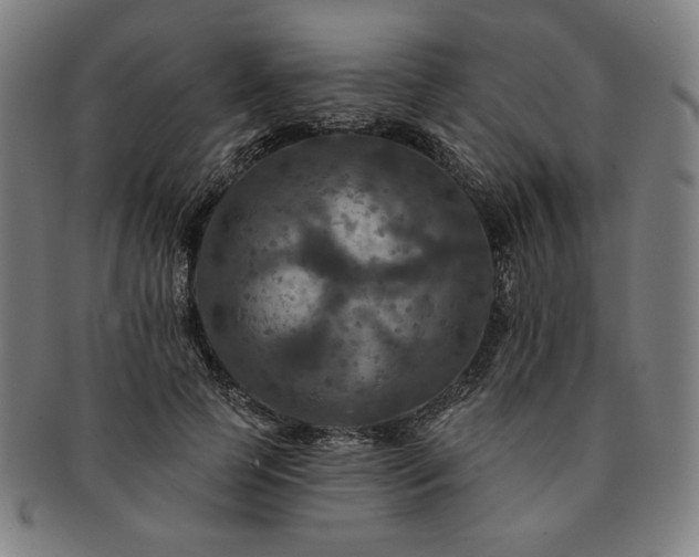 X0000091460745200708231316