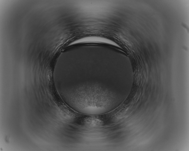 X0000091460747200708231316