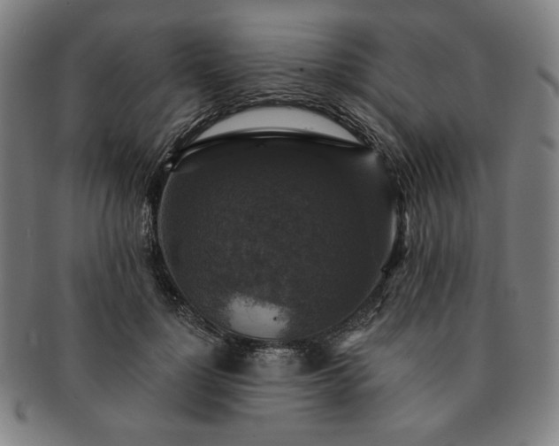 X0000091460748200708231316