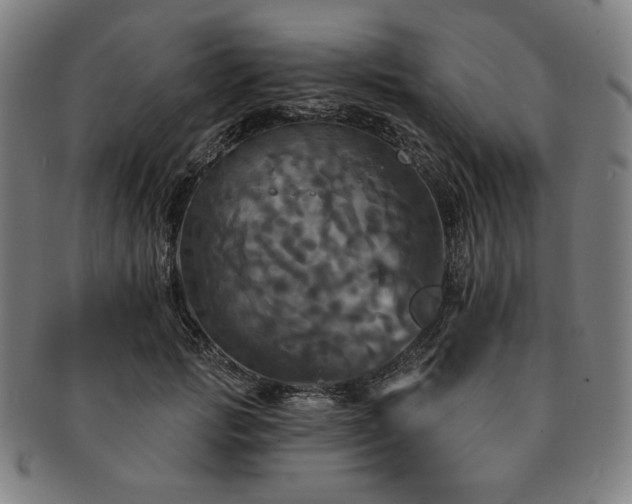 X0000091460749200708231316