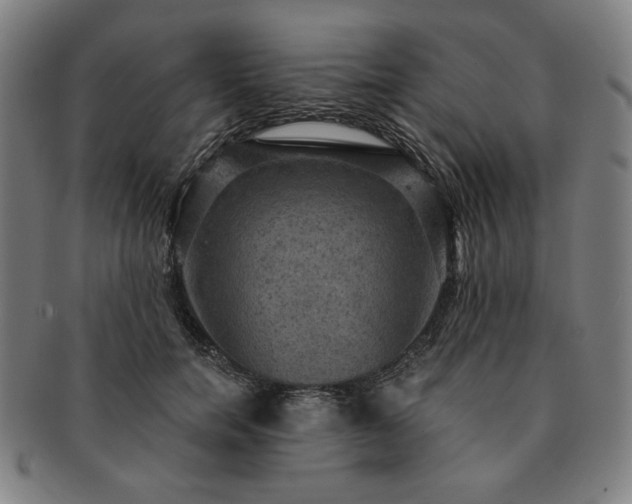 X0000091460750200708231316