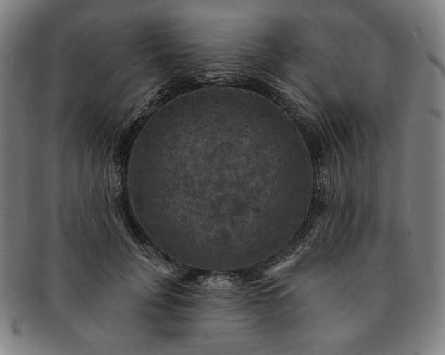 X0000091460751200708231316
