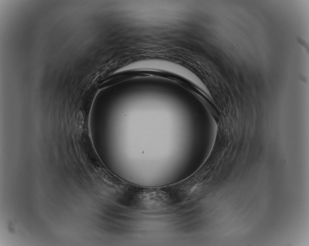 X0000091460752200708231316