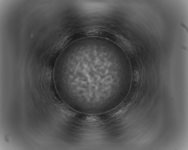 X0000091460753200708231316