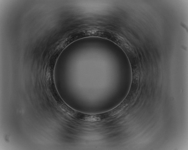 X0000091460754200708231316