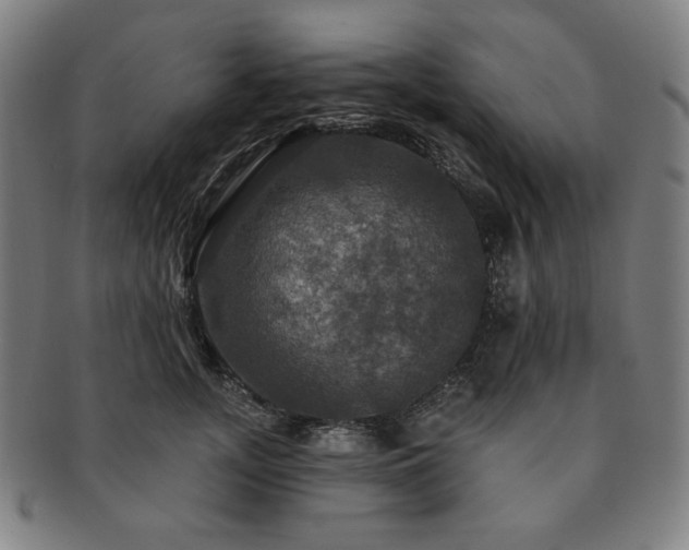 X0000091460755200708231316