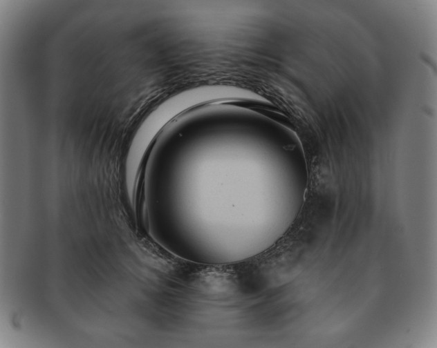 X0000091460756200708231316