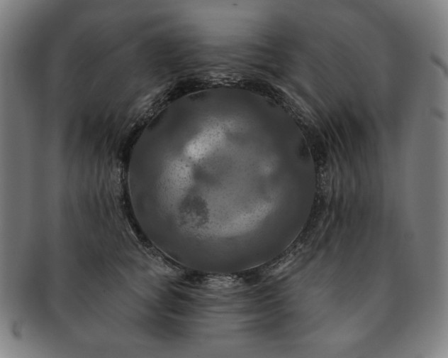 X0000091460757200708231316