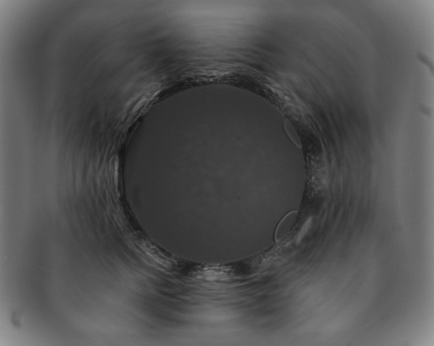 X0000091460758200708231316