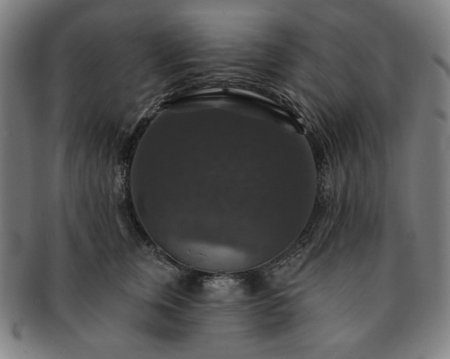 X0000091460759200708231316