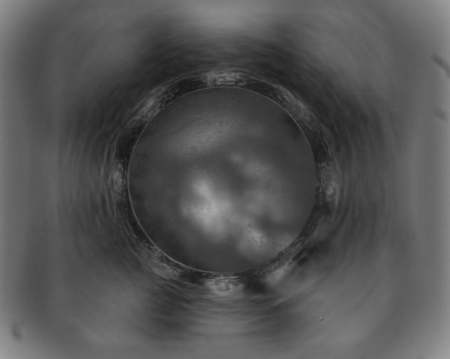 X0000091460761200708231316