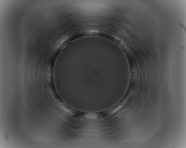 X0000091460762200708231316