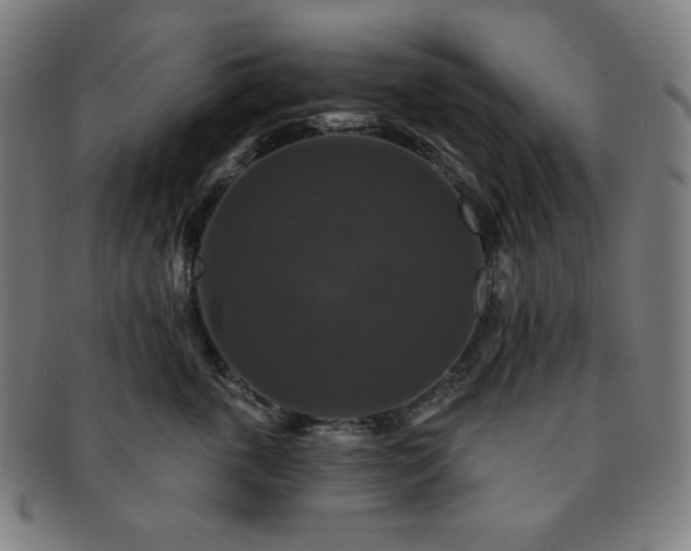 X0000091460763200708231316