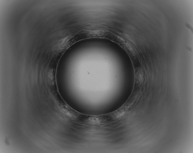 X0000091460764200708231316