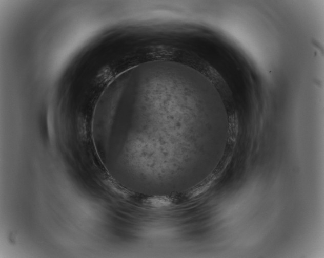 X0000091460765200708231316