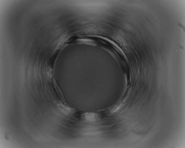 X0000091460766200708231316