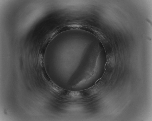 X0000091460767200708231316