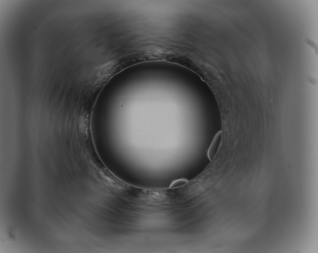 X0000091460768200708231316