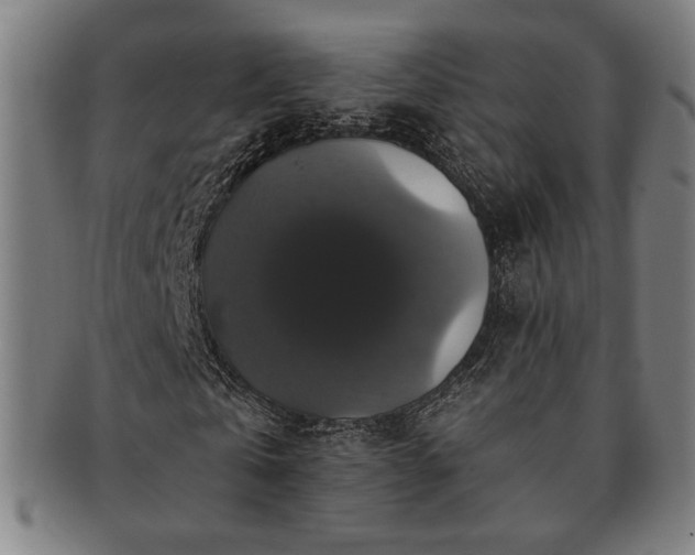 X0000091460769200708231316