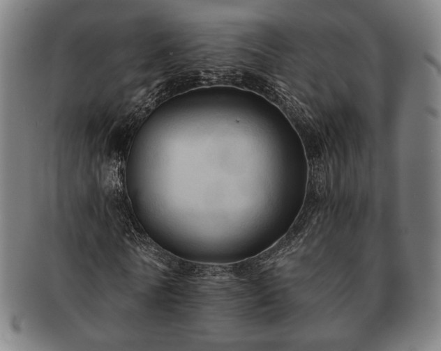X0000091460770200708231316