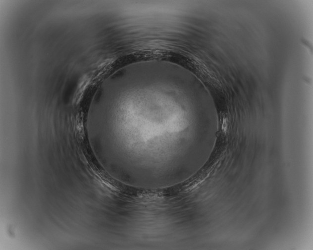 X0000091460771200708231316