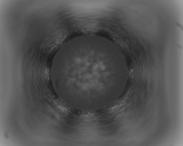 X0000091460772200708231316