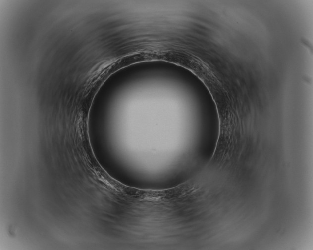 X0000091460773200708231316