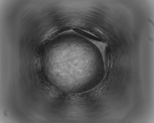 X0000091460774200708231316