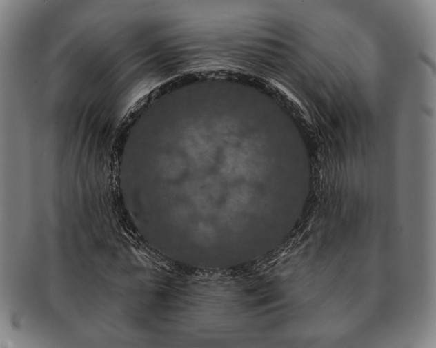 X0000091460775200708231316