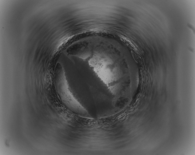 X0000091460776200708231316