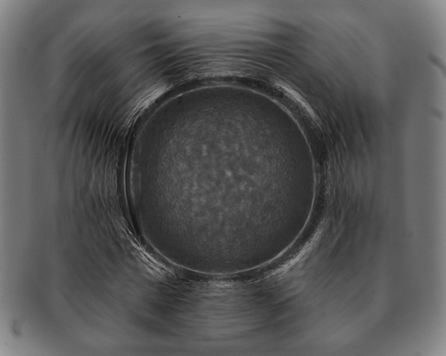 X0000091460777200708231316