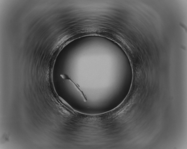 X0000091460778200708231316