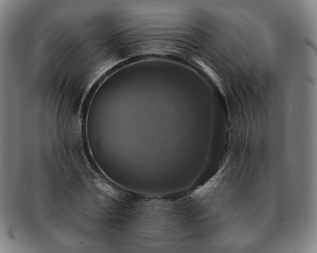 X0000091460779200708231316