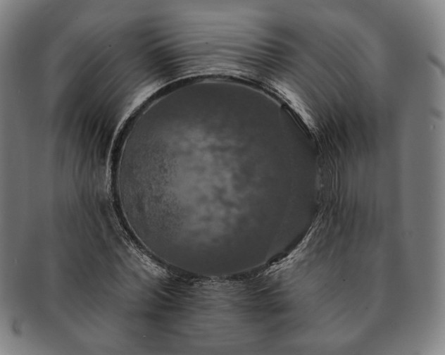 X0000091460780200708231316