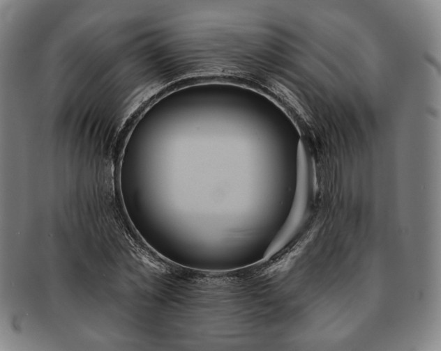 X0000091460781200708231316