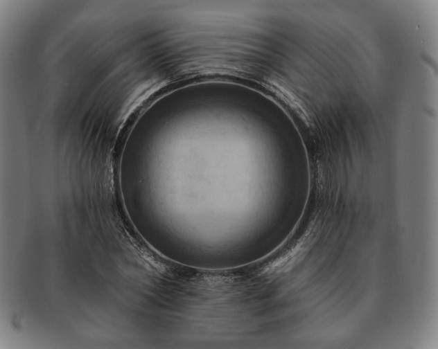 X0000091460782200708231316