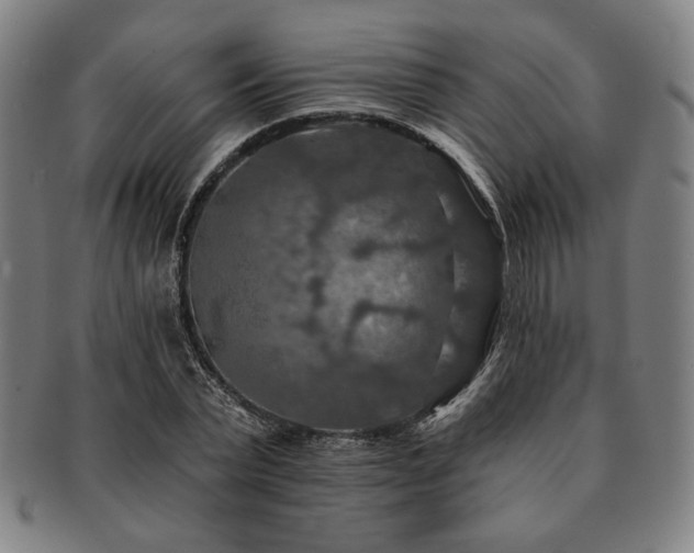 X0000091460783200708231316