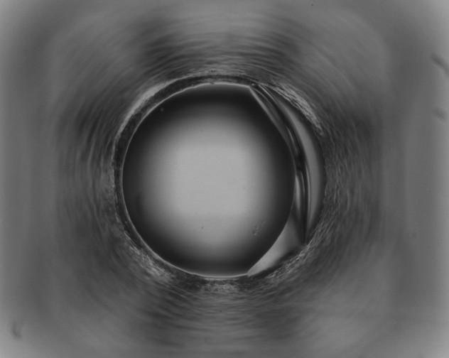 X0000091460784200708231316