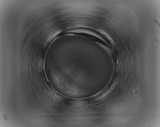 X0000091460785200708231315